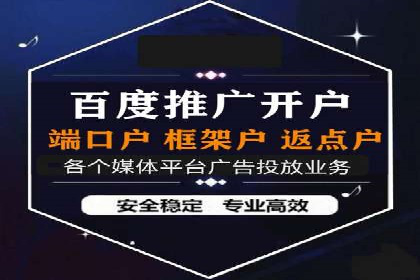 百度推广成功案例：打造行业领军品牌之路